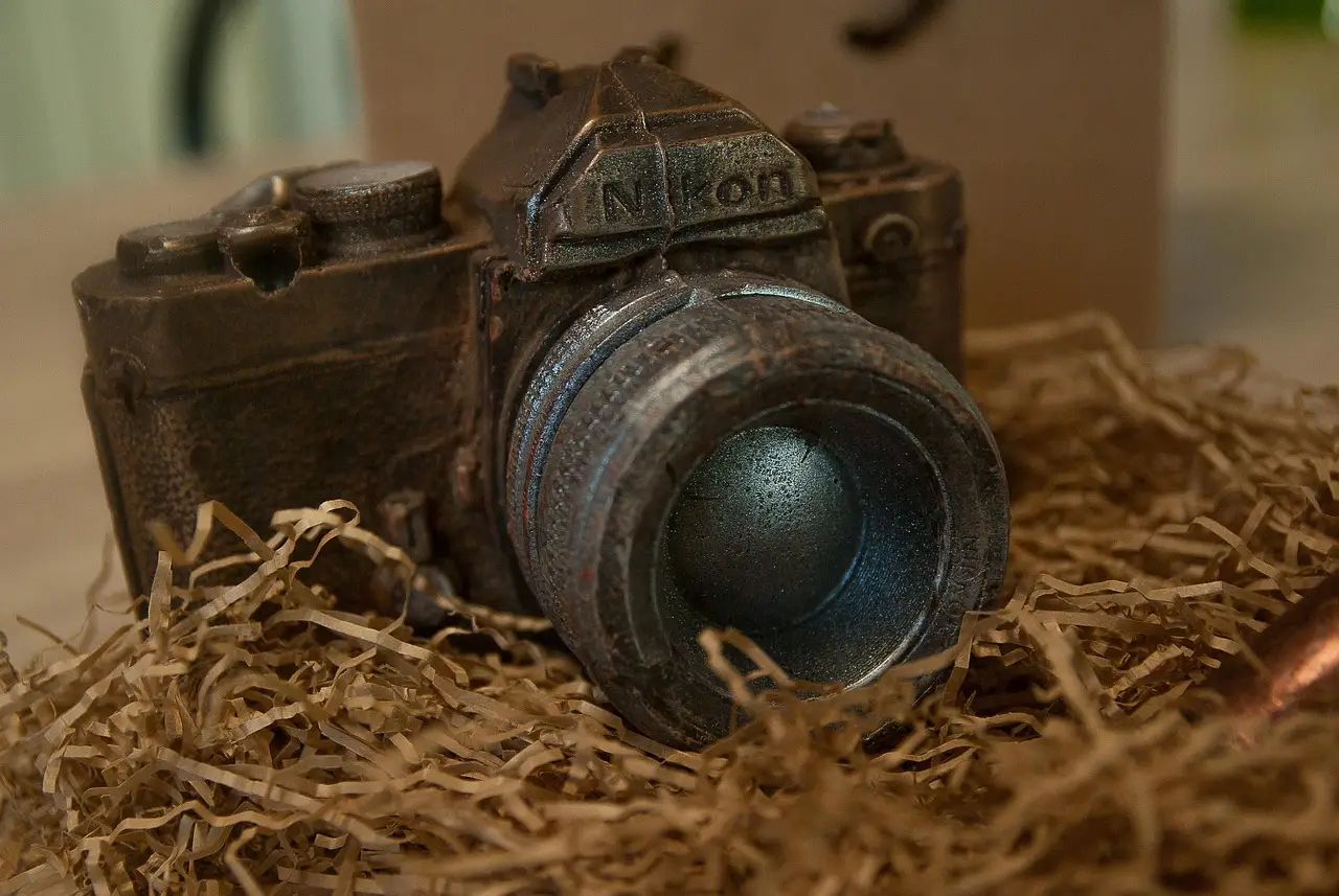 Things are looking pretty rosy for Nikon, on track to sell 850,000 cameras this year - Digital Camera World