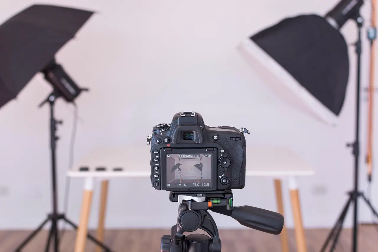 Japanese Government Says the Digital Camera Industry Is In Recovery - PetaPixel